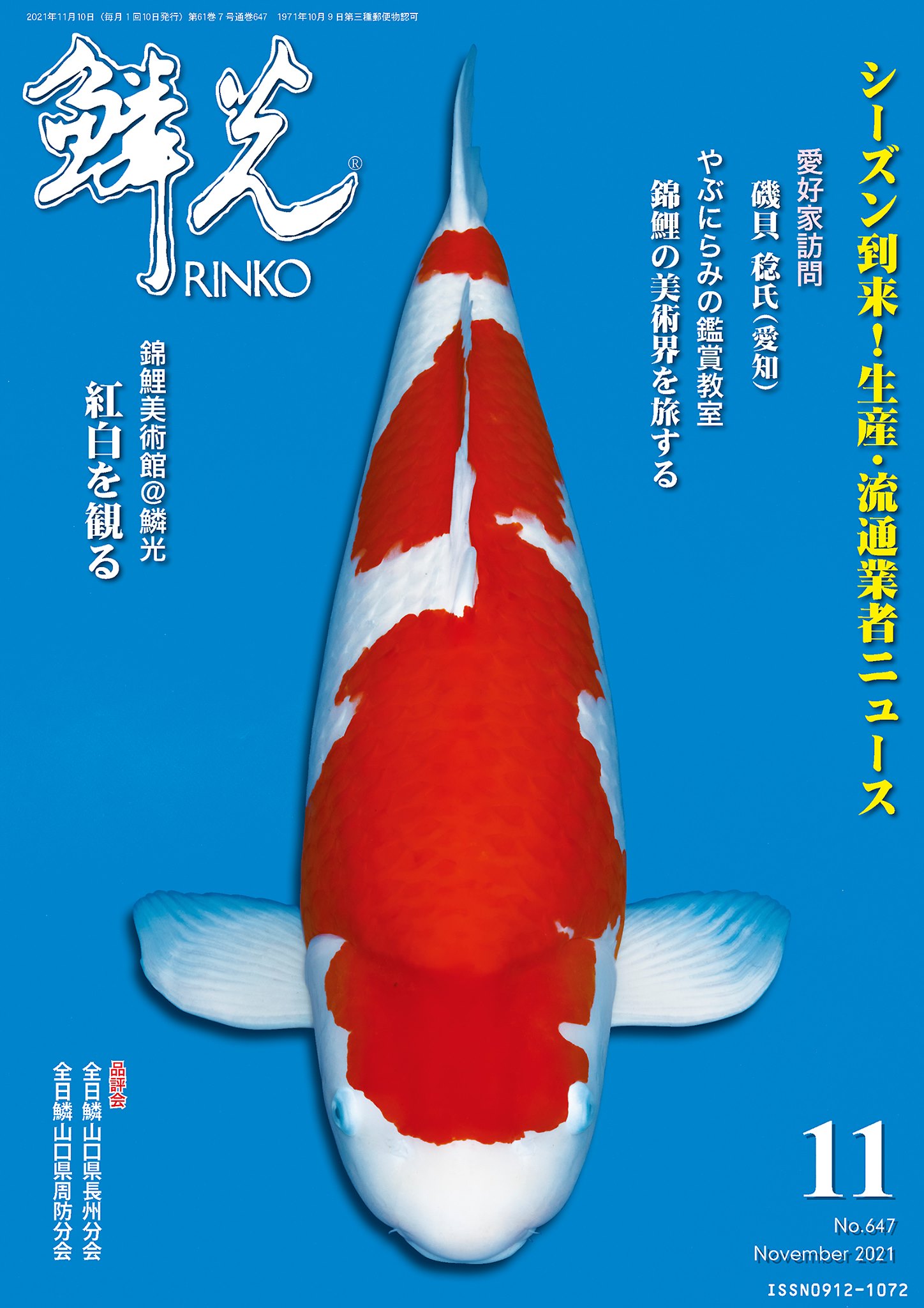 About RINKO Online - RINKO Online