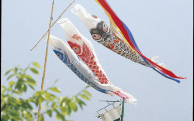 Koinobori 鯉幟