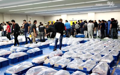 Niigata Koi Breeders Auction will be back in live this autumn