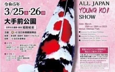 39th All Japan Young Koi Show will be held on 25 & 26 March at Himeji