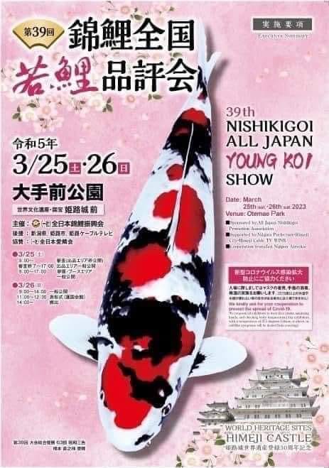 39th All Japan Young Koi Show