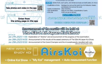 The 1st Online Koi Show by AI judging