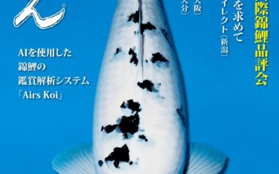 Japanese RINKO 2023 February issue adverts