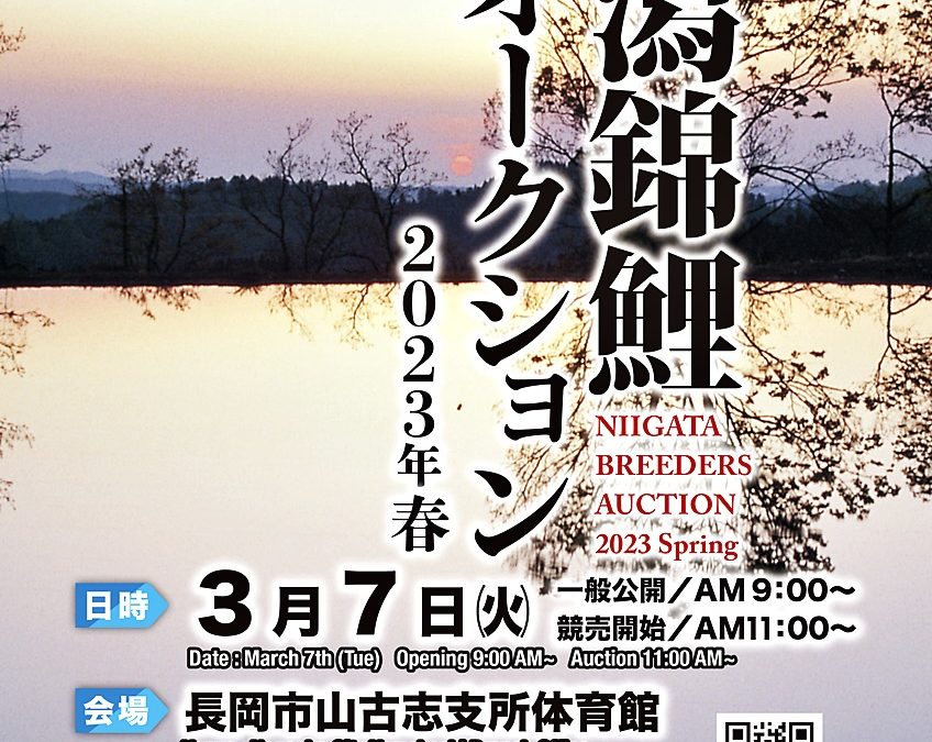 Niigata Breeders Auction