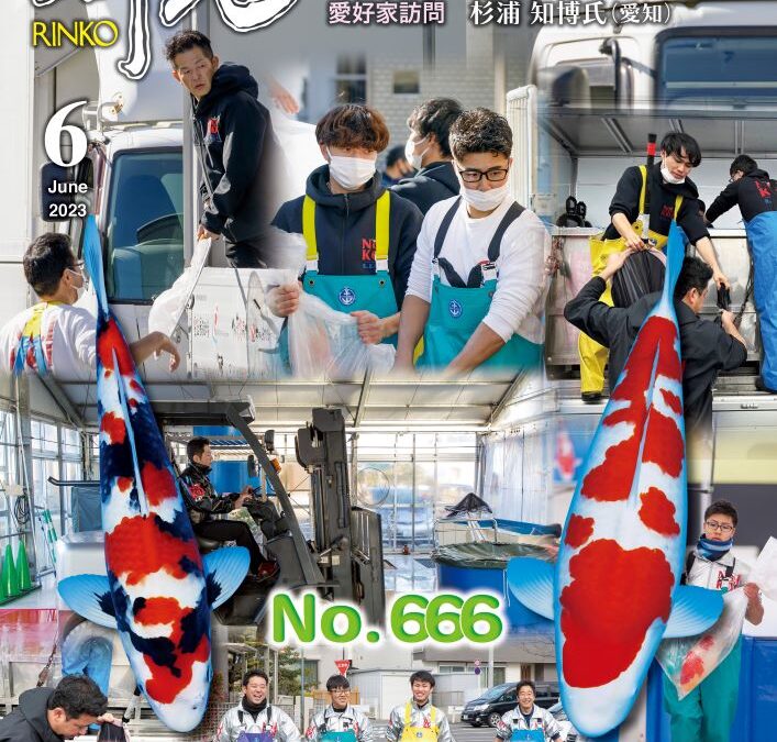 Japanese RINKO 2023 June issue adverts