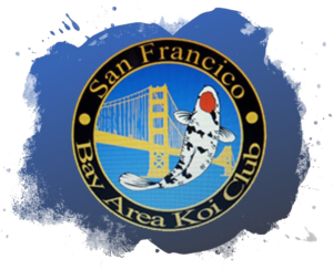 San Francisco Bay Area Koi Club