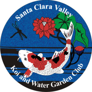 Santa Clara Valley Koi Club