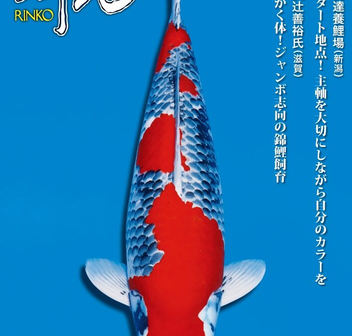 Japanese RINKO 2023 September issue adverts