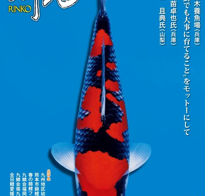 Japanese RINKO 2023 October issue adverts