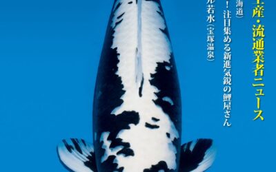 Japanese RINKO 2023 November issue adverts