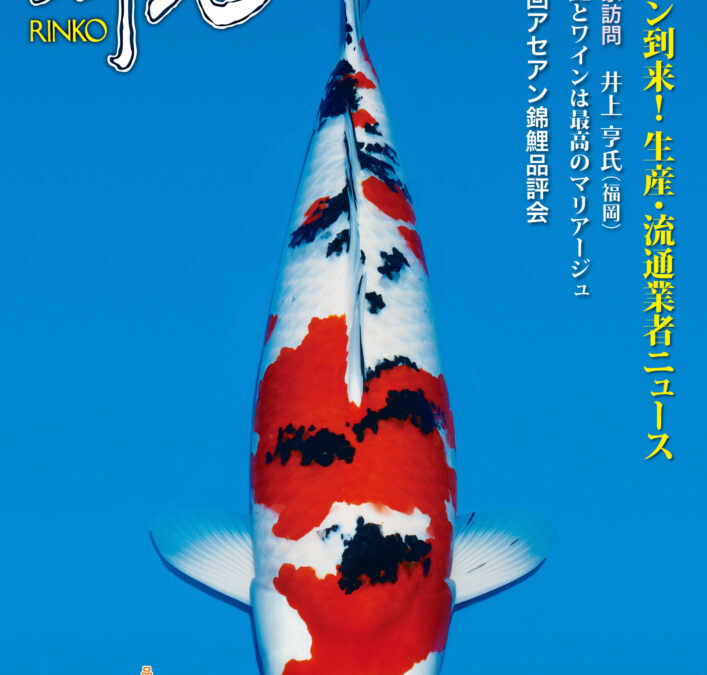 Japanese RINKO 2023 December issue adverts