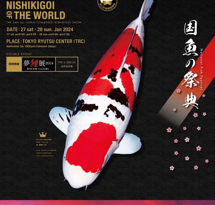 54th All Japan Koi Show New Size Group and Categories