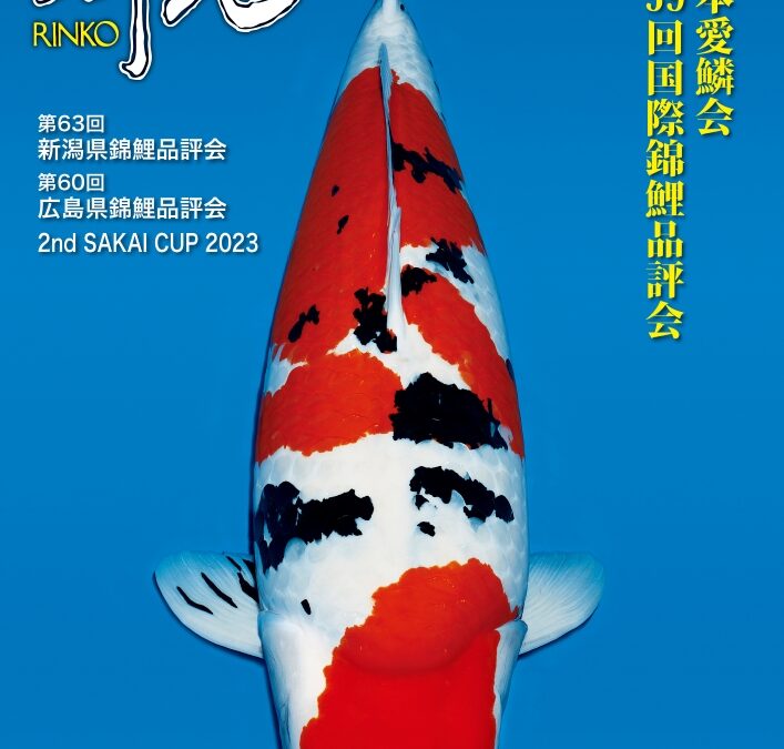 Japanese RINKO 2024 January issue adverts