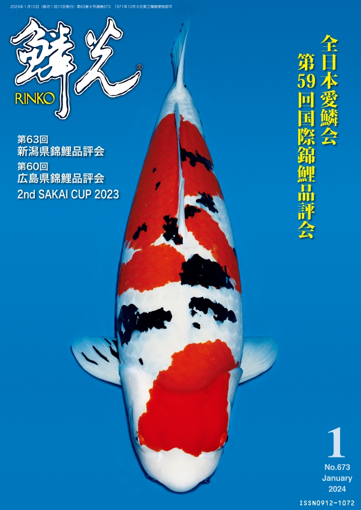 Japanese RINKO 2024 January issue adverts - RINKO Online