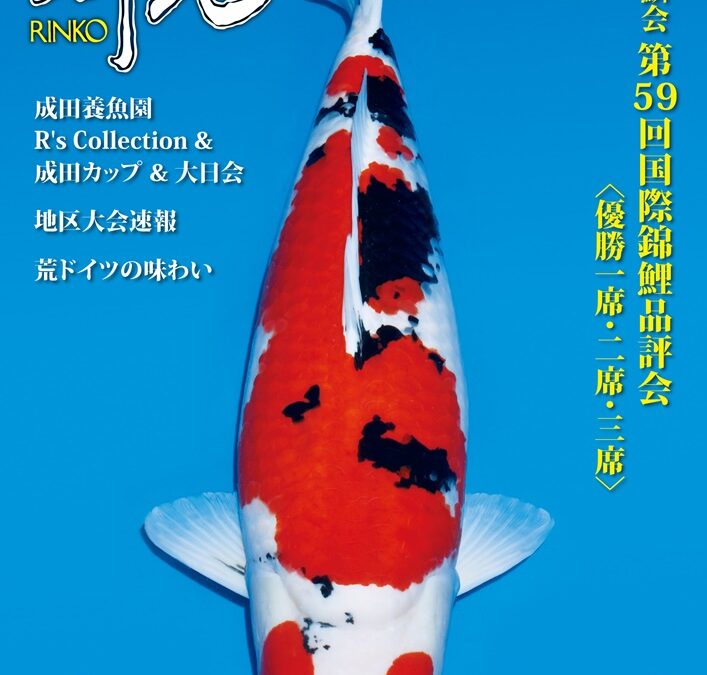 Japanese RINKO 2024 February issue adverts