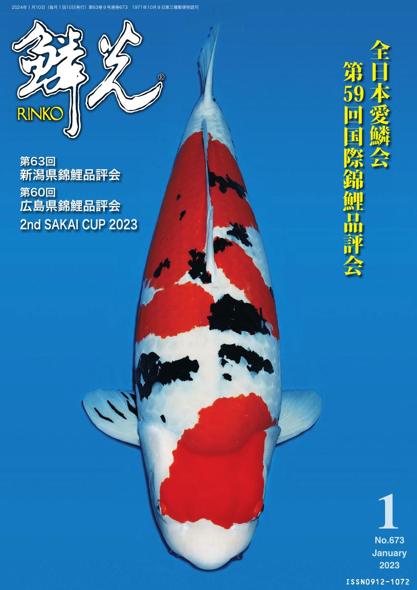 Japanese rinko january 2024 no 673 rinko online