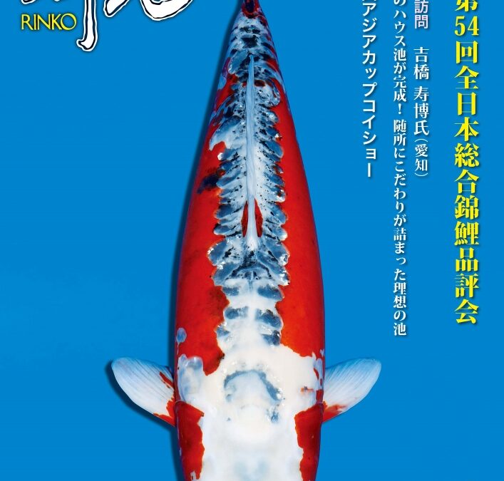 Japanese RINKO 2024 March issue adverts