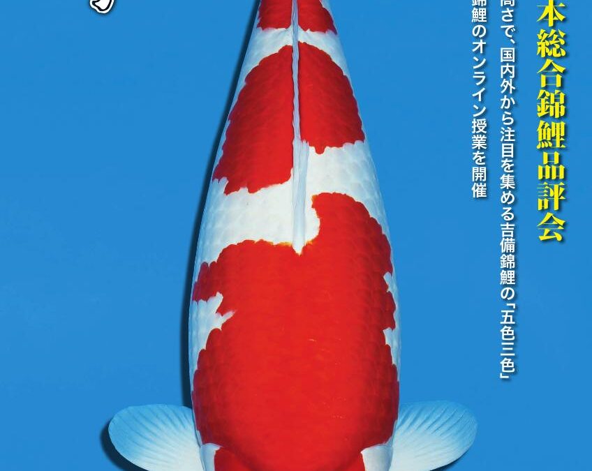 Japanese RINKO April 2024 (No.676)