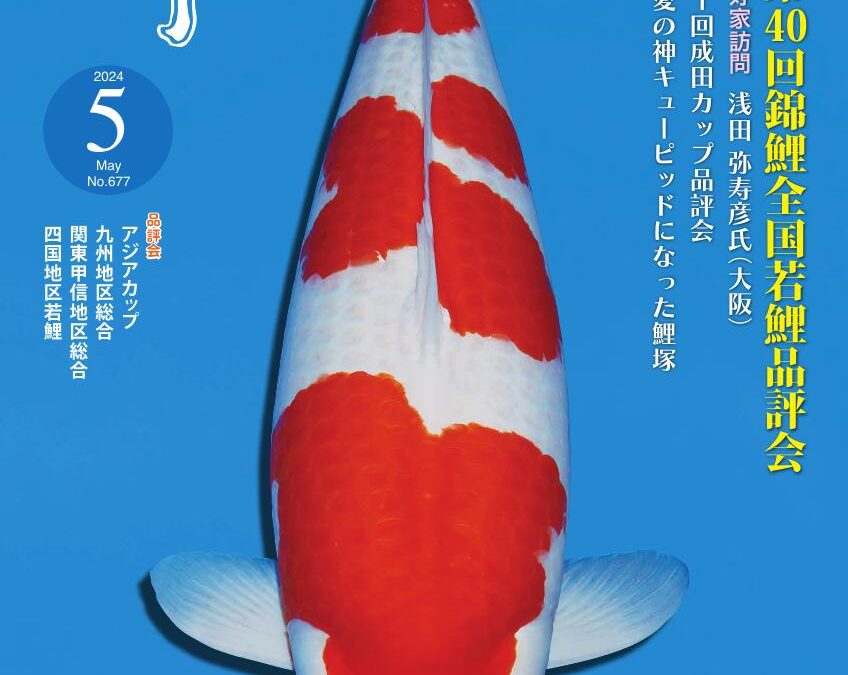 Japanese RINKO May 2024 (No.677)
