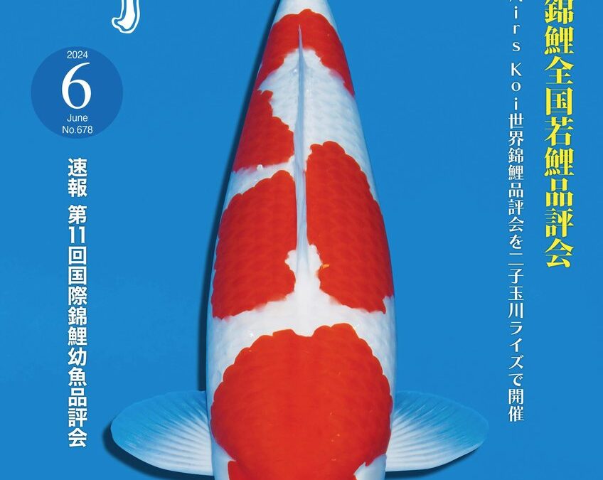 Japanese RINKO June 2024 (No.678)