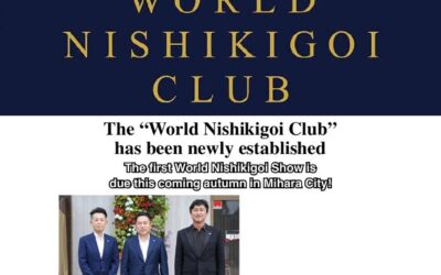 World Nishikigoi Club