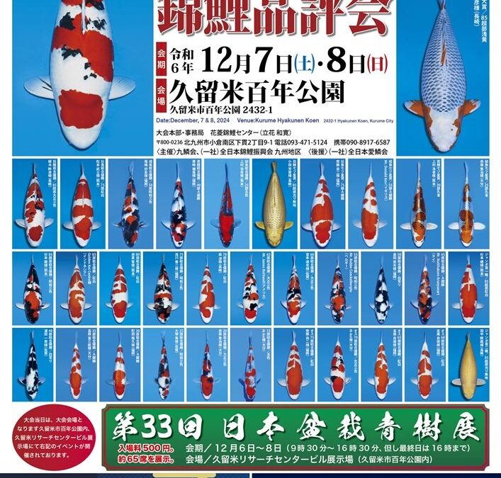 Kyushu District Koi Show