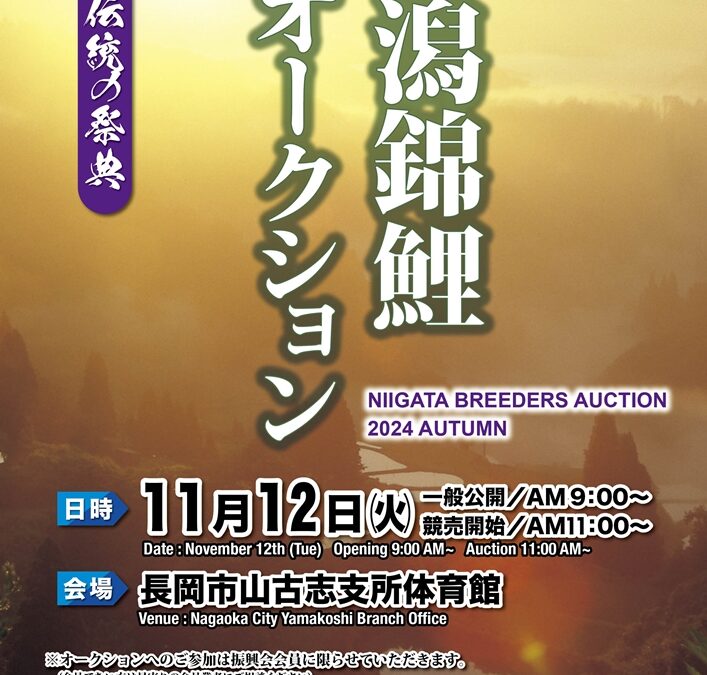 Niigata Breeders Auction