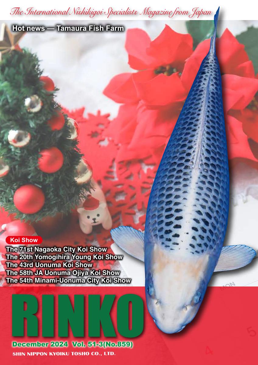 December 2024 vol 51 3 no 859 rinko online