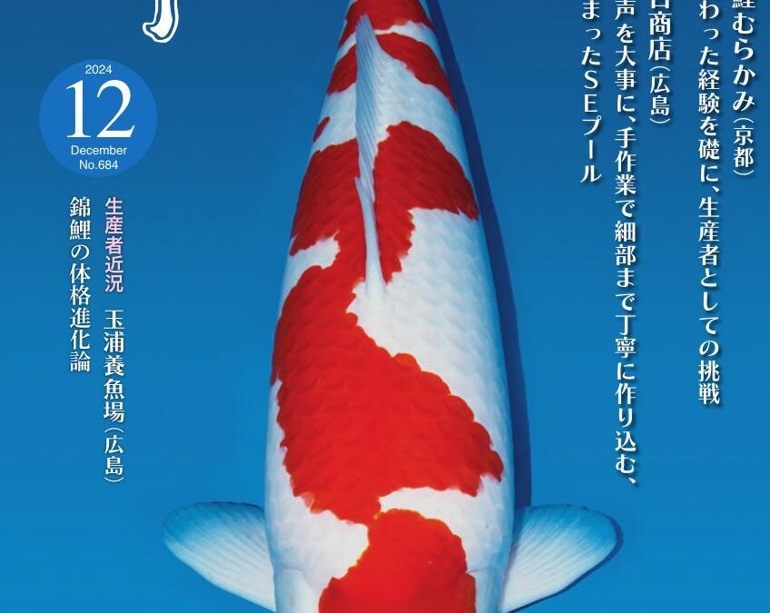 Japanese RINKO December 2024 (No.684)