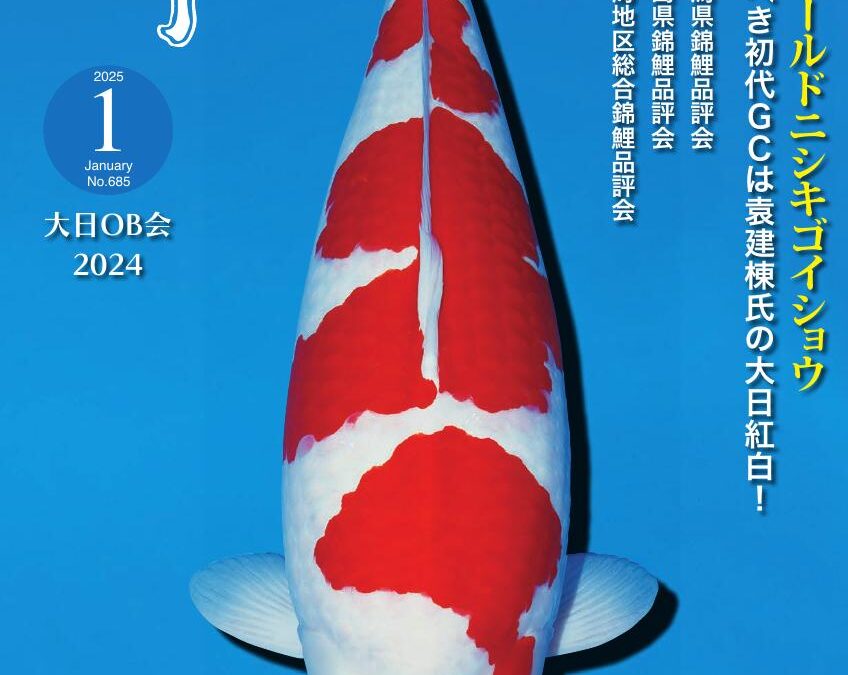Japanese RINKO January 2025 (No.685)