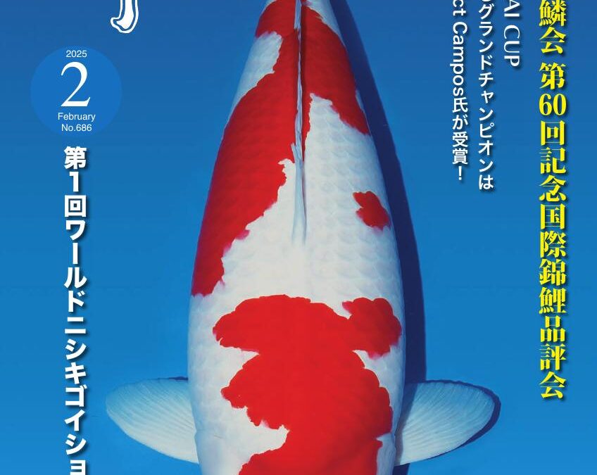 Japanese RINKO February 2025 (No.686)