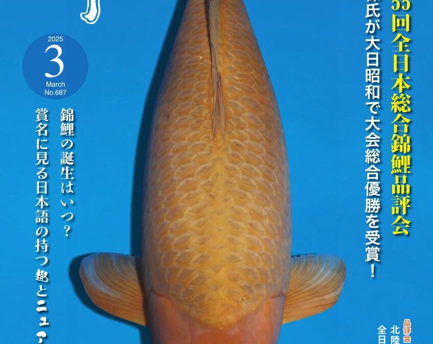 Japanese RINKO March 2025 (No.687)
