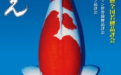 Japanese RINKO 2025 May issue adverts