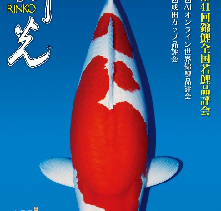 Japanese RINKO 2025 May issue adverts