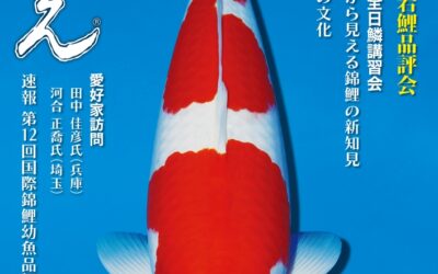 Japanese RINKO 2025 June issue adverts