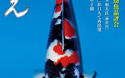 Japanese RINKO 2025 July issue adverts