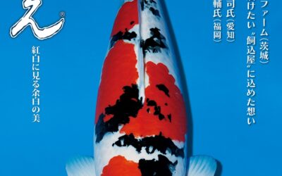 Japanese RINKO 2025 August issue adverts