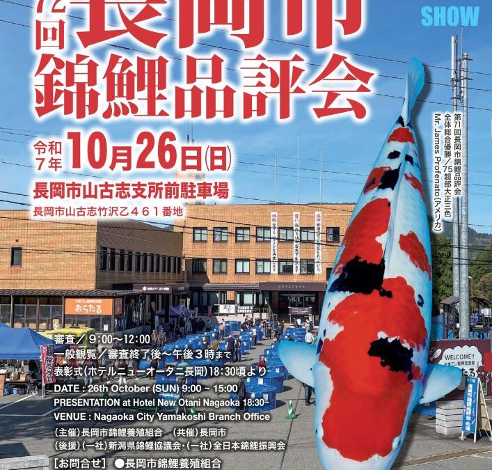 Nagaoka Koi Show