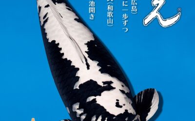 Japanese RINKO 2025 September issue adverts
