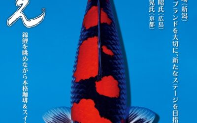 Japanese RINKO 2025 October issue adverts