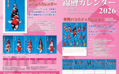 Nishikigoi Calendar 2026 on sale