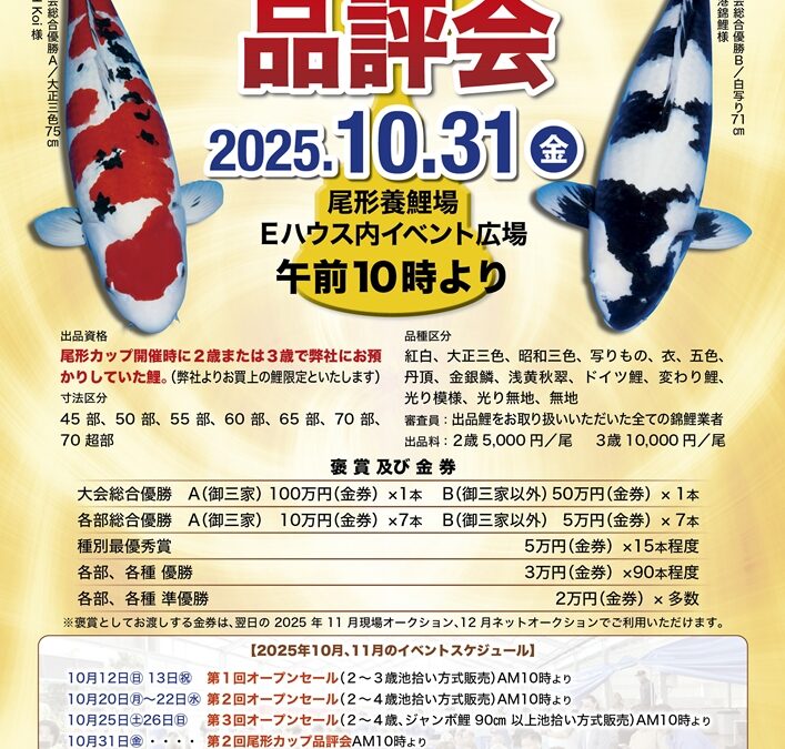 Ogata Cup