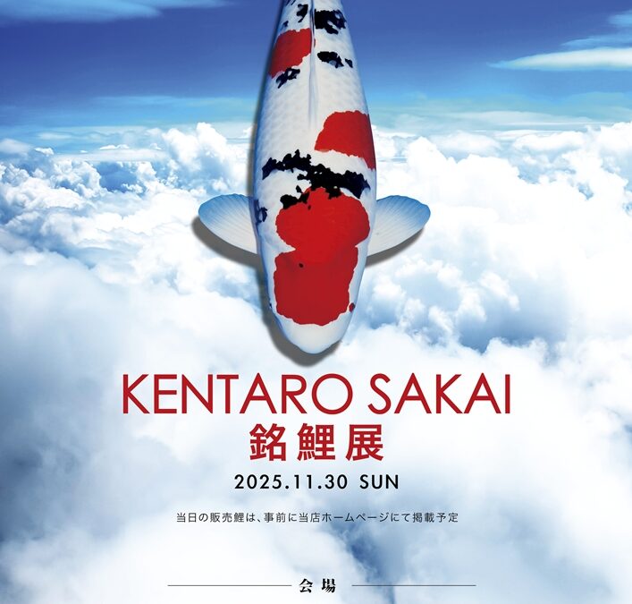KENTARO SAKAI Collection@Uosui