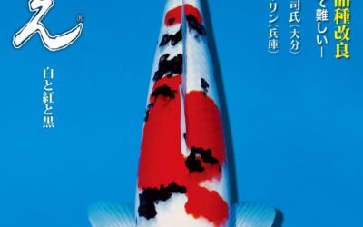 Japanese RINKO 2025 November issue adverts