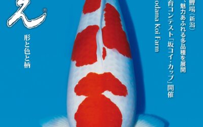 Japanese RINKO 2025 December issue adverts